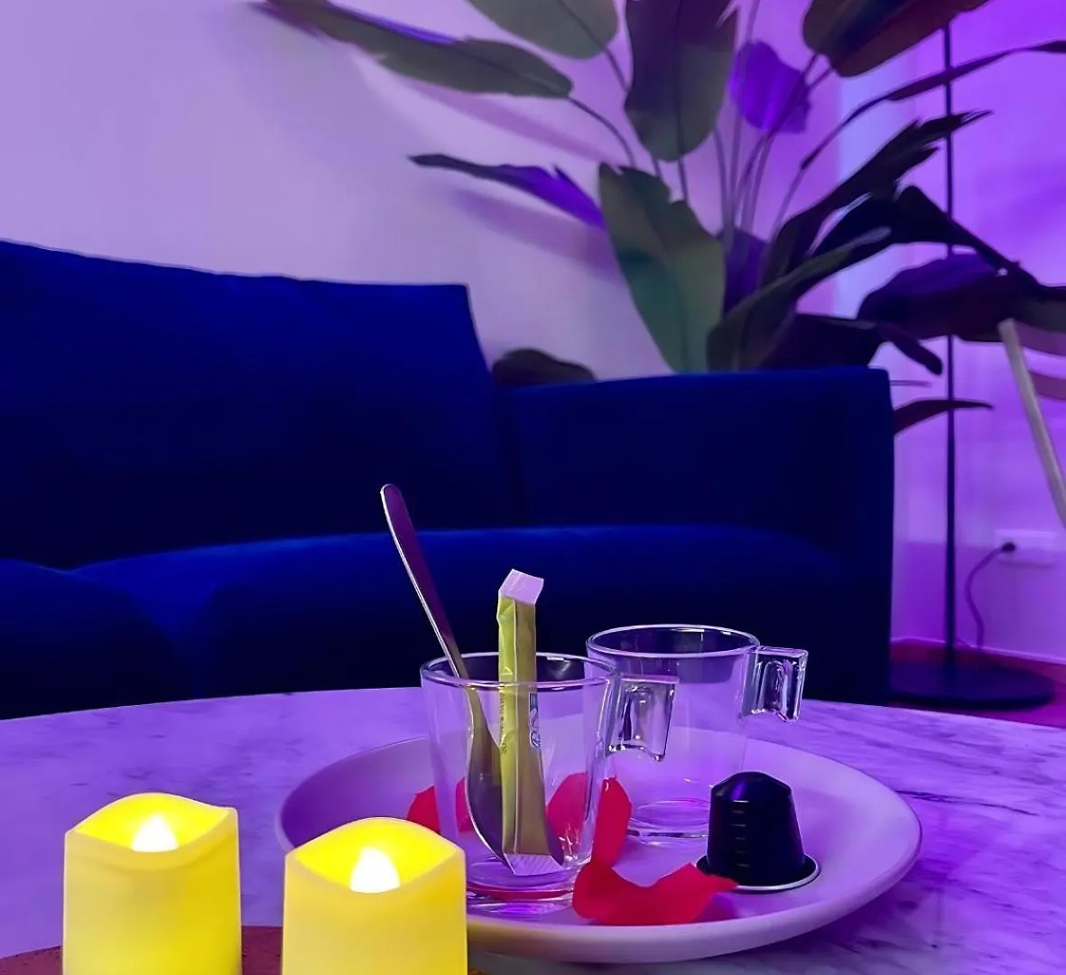 ניס Luxurious Apartment - Seaside - Spa Bath - Wifi - Ac