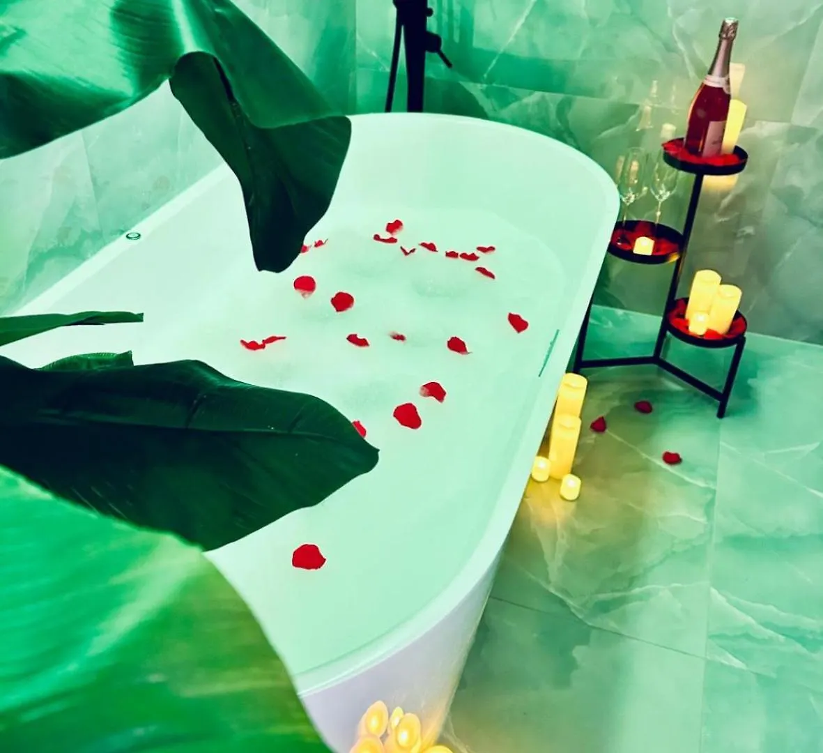 Luxurious Apartment - Seaside - Spa Bath - Wifi - Ac ニース
